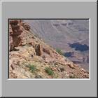 a Grand-Canyon-Abstieg-South-Kaibab-Trail 37
