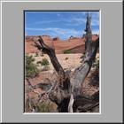 a Arches NP Delicate Arch inkl. Aufstieg 33